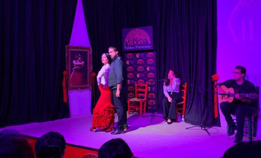 Albaicín & Sacromonte: Tour with Flamenco Show - Price and Value: Is $30 a Fair Deal for This Granada Combo?