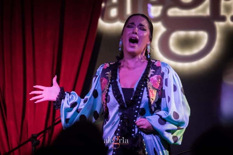 Alegria Flamenco in Malaga, with Transfer, Cocktail and Premium Location - Alegria Flamenco in Malaga: why this show location matters