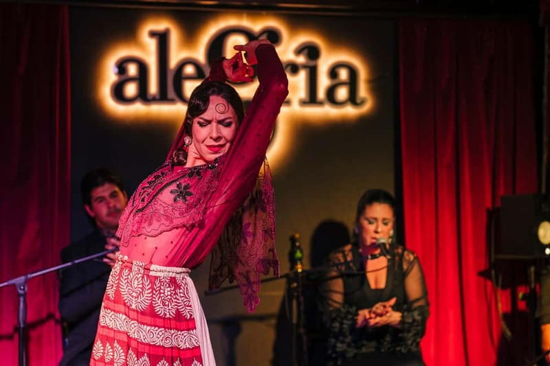 Alegria Flamenco in Malaga, with Transfer, Cocktail and Premium Location - Price and value: is $93 actually a fair deal?