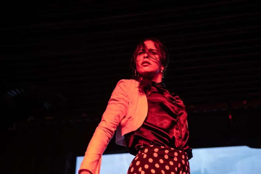 Authentic Flamenco Show Valencia - Practical tips for a smoother night