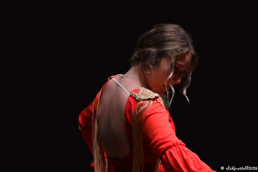 Authentic Flamenco Show Valencia - What the 60-minute show feels like in real time
