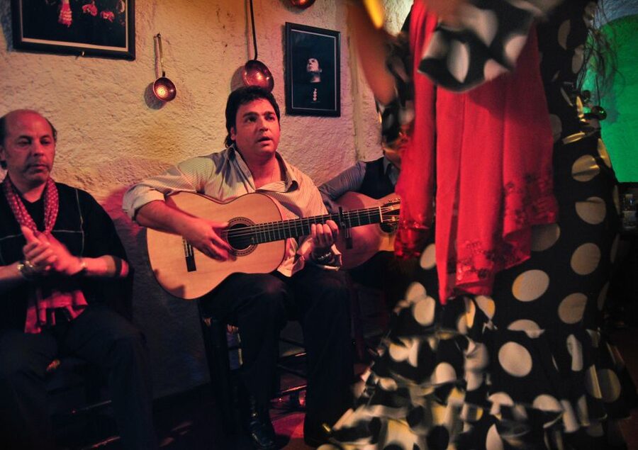Barcelona: City Tour & Flamenco Show with Wine & Tapas - Price and logistics: is $141 worth it?