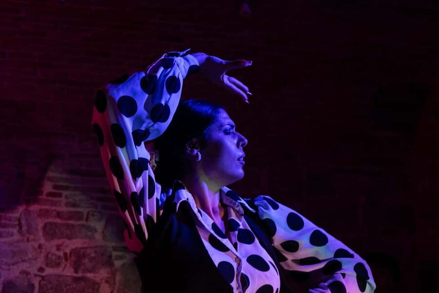 Barcelona: Espectáculo de Flamenco íntimo en Las Brujas - The 50-Minute Performance: Dancers, Singers, Guitar All in the Same Room
