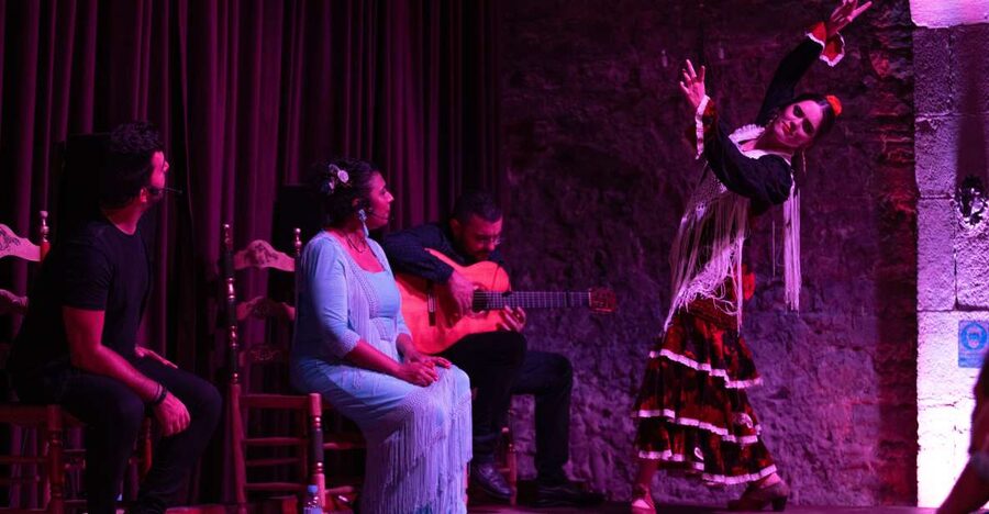 Barcelona: Flamenco Show at Palau Dalmases - The Show Timing: Choose the Slot That Fits Your Barcelona Night