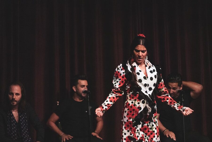 Barcelona: Flamenco Show at Palau Dalmases - Picking Your Seats: VIP vs Zone A vs Zone B