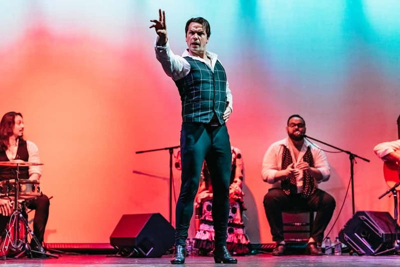 Barcelona: Flamenco Show at the Theater - Key things to know before you go