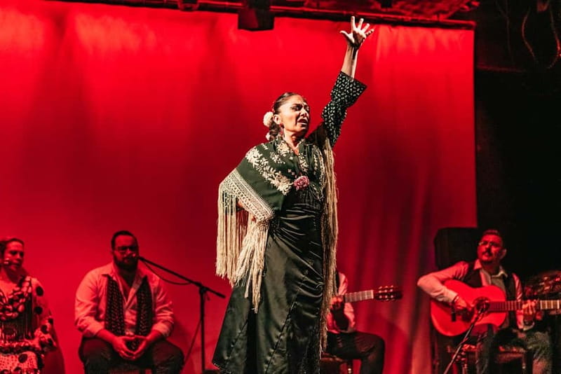 Barcelona: Flamenco Show at the Theater - The performers: the names you might see and why they matter