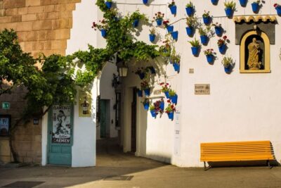 Barcelona: Flamenco Show with Dinner at Tablao de Carmen - Free entry to Poble Espanyol from 4 PM: what to do before flamenco