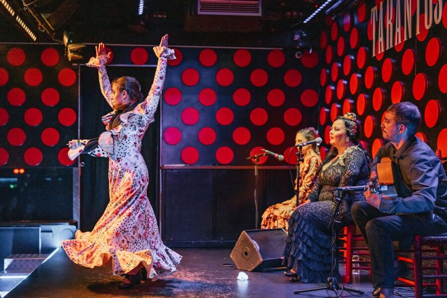 Barcelona: Los Tarantos Flamenco Show - Who should book Los Tarantos, and who might want a different format