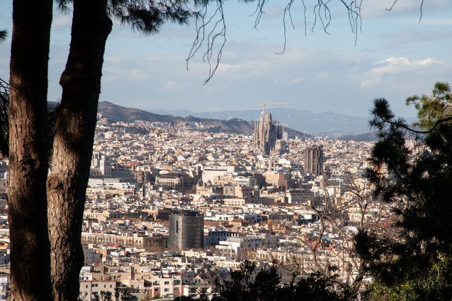 Barcelona: Montjuïc Walking Tour With Optional Flamenco Show - Key Highlights You Should Know Before You Go