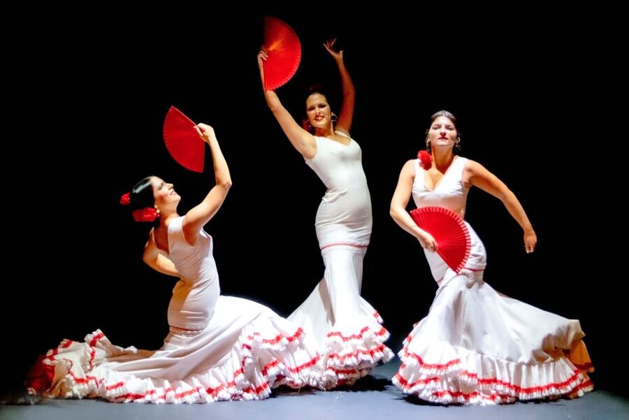 Combo: Hop on hop off + Flamenco Show & Walking tours - A note on reservations and comfort for the flamenco night