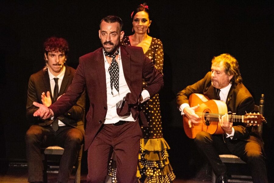 Combo: Hop on hop off + Flamenco Show & Walking tours - Hop-on hop-off buses: how to actually use them well
