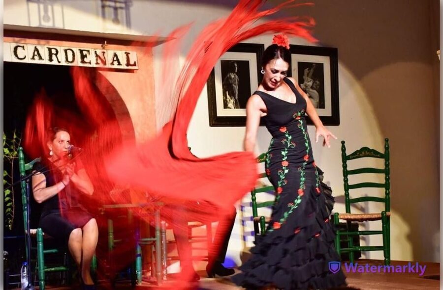Córdoba: Flamenco Show Ticket with Drinks - Tablao Flamenco El Cardenal: where the night actually feels intimate