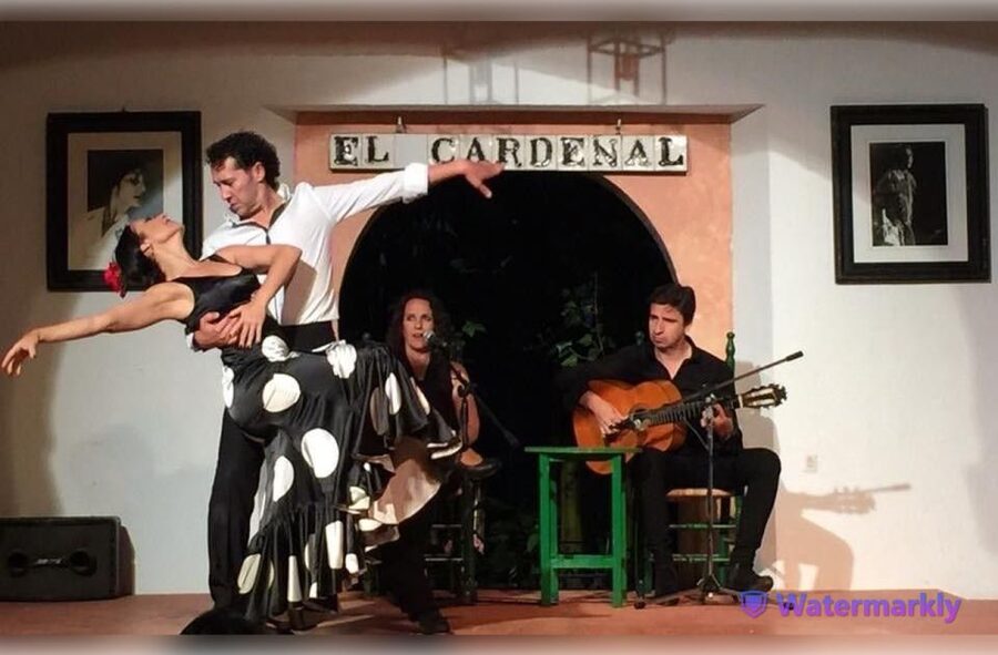 Córdoba: Flamenco Show Ticket with Drinks - Price and value: what $29 buys in Córdoba