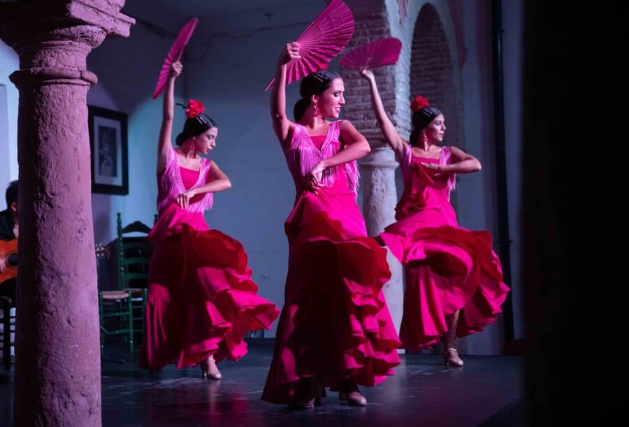 Córdoba: Flamenco Show Ticket with Drinks - Who should book this flamenco ticket