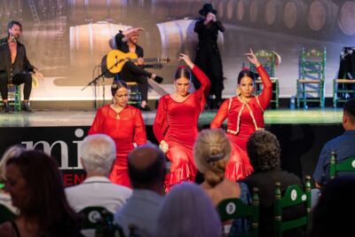 Estepona: Andalusian Flamenco Show Entry Ticket with Drink - Ticket Choices: Drink-Only vs Dinner and a Drink