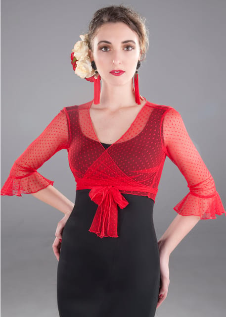 Flamenco: Sevillanas class - Price and Value: Is $35 Worth It?