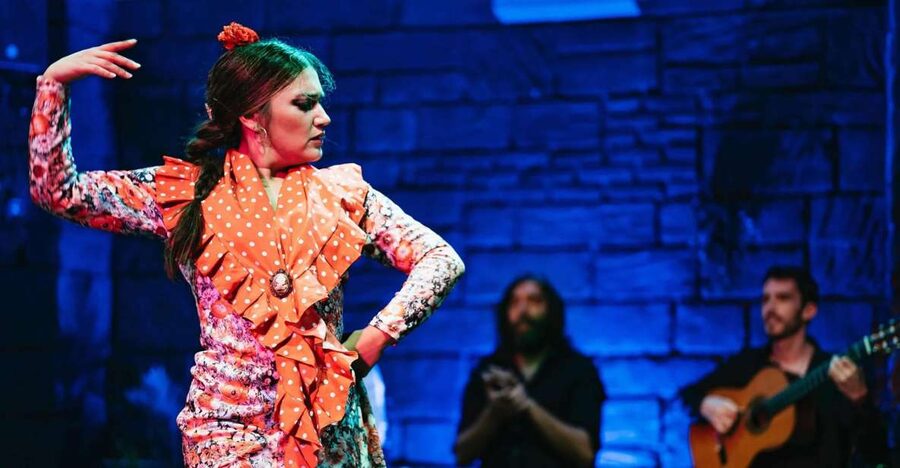 Flamenco Show & Sangria Tasting - The 30-minute flamenco guide: what you learn without ruining the mood