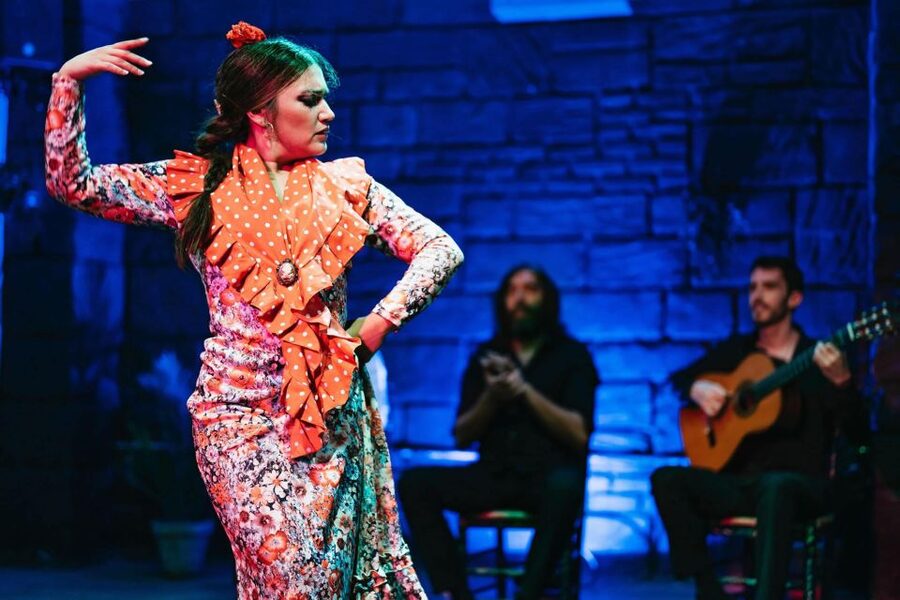 Flamenco Show & Sangria Tasting - Who should book, and who should skip this evening?