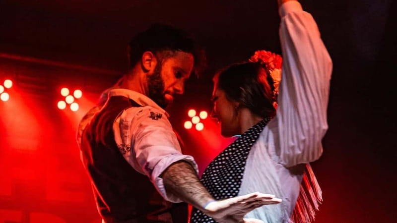 Fuengirola: Flamenco Show - What Happens During the Show: Dance, Singing, and Guitar