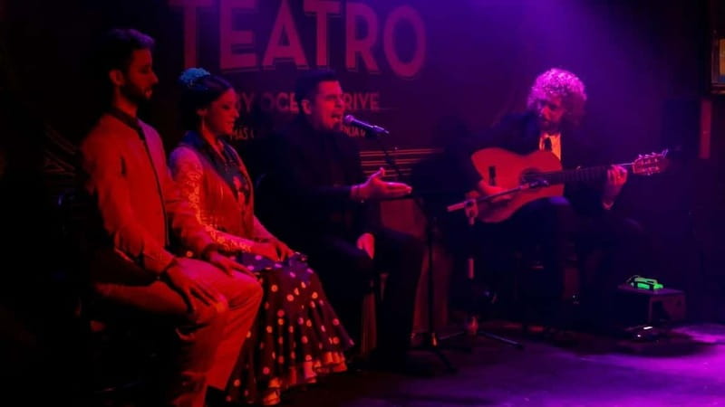 Fuengirola: Flamenco Show - Price and Value: About $29 for One Strong Hour