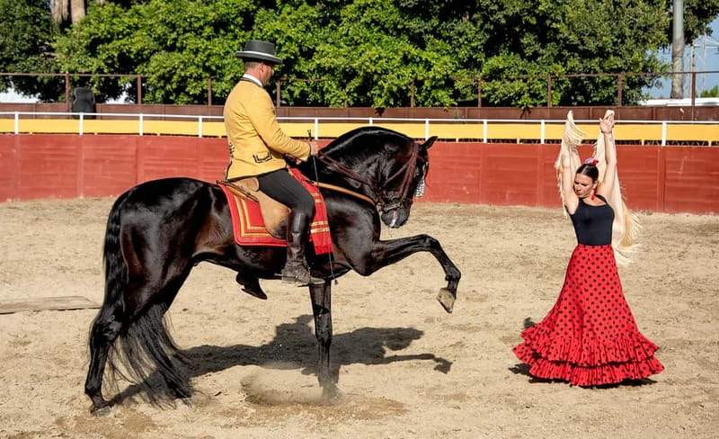 Fuengirola: Spanish Horse Show with Optional Dinner/Flamenco - Key things to know before you book