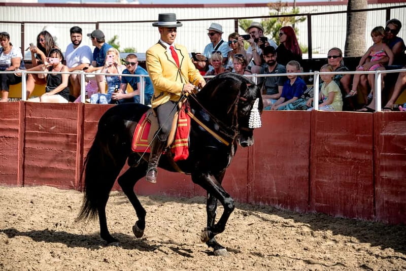 Fuengirola: Spanish Horse Show with Optional Dinner/Flamenco - Should you book this Cartujano horse, paella, and flamenco night?