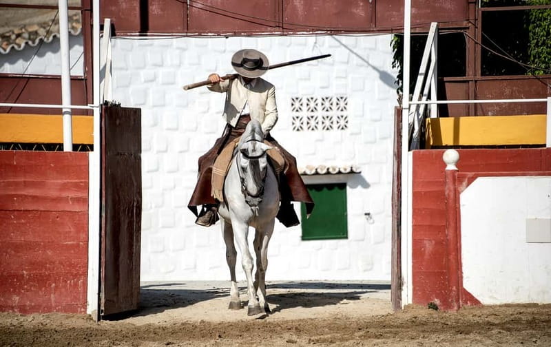 Fuengirola: Spanish Horse Show with Optional Dinner/Flamenco - The stables visit and free mini-golf: the best payoff for families
