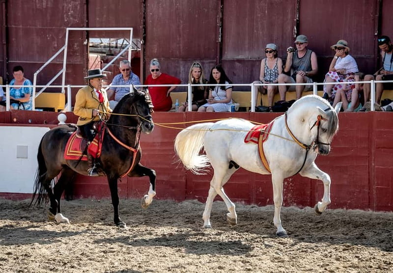Fuengirola: Spanish Horse Show with Optional Dinner/Flamenco - Who this suits best (and who may want a different night)