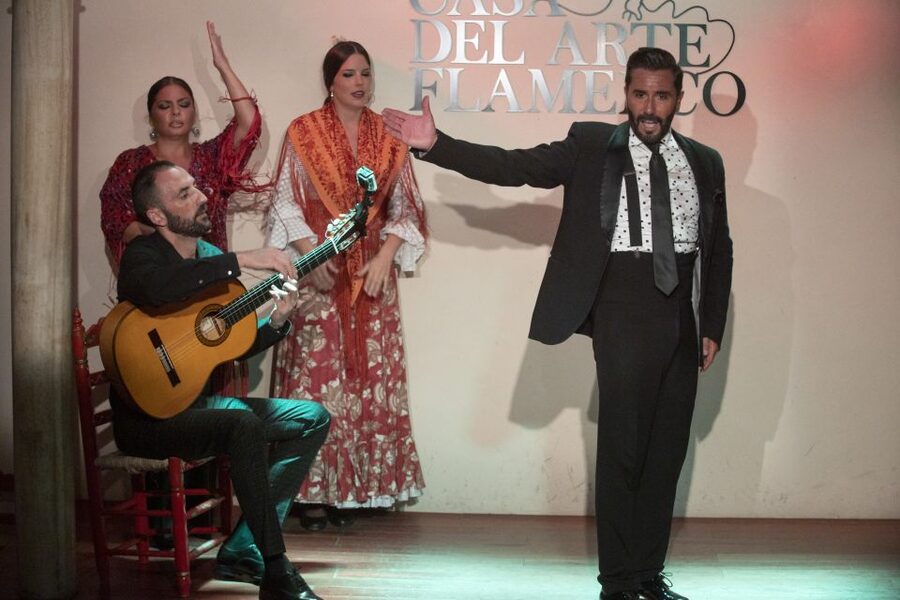 Granada: 1-Hour Traditional Flamenco Show - Key Things You’ll Notice