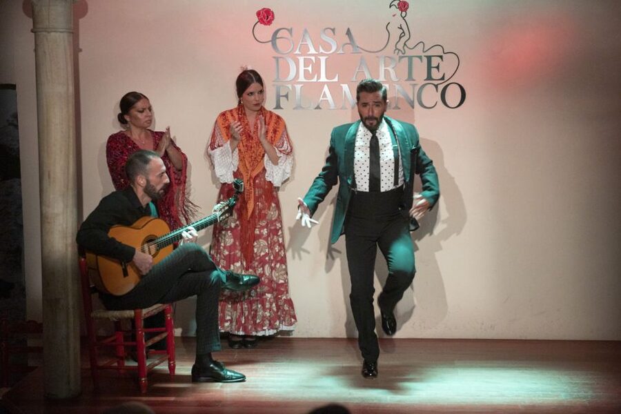 Granada: 1-Hour Traditional Flamenco Show - Price and Value: Is $23 Worth It?