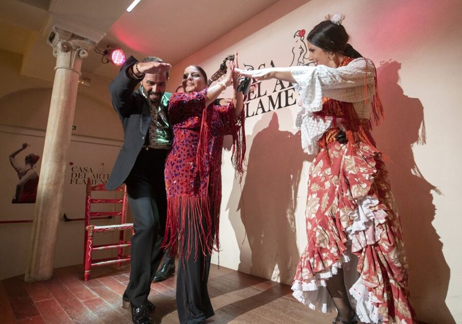 Granada: 1-Hour Traditional Flamenco Show - Who This Show Suits Best in Granada