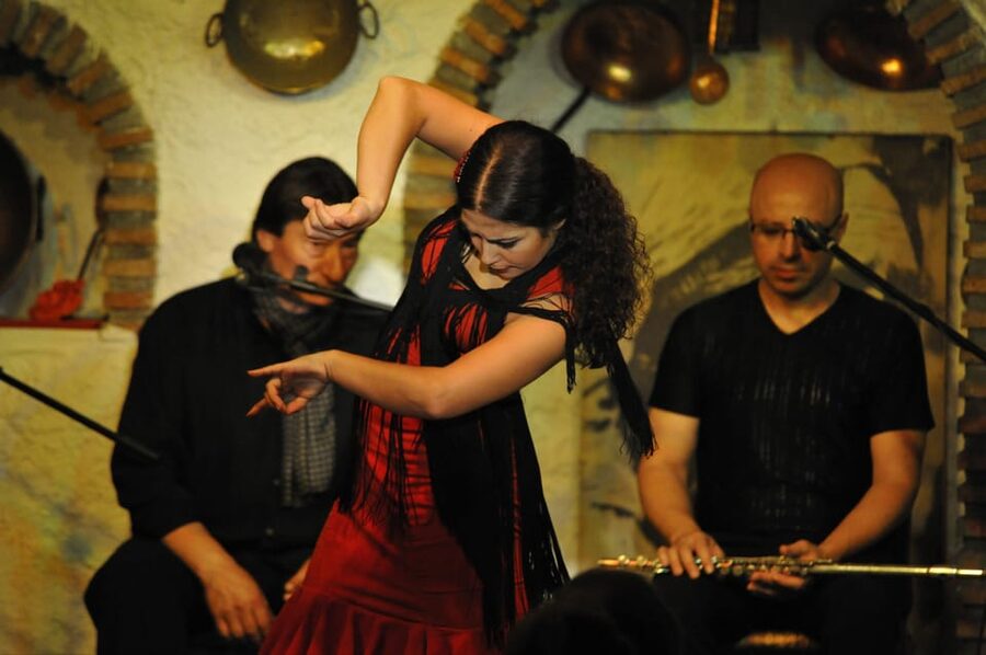 Granada: Alhambra Guided Tour and Flamenco Show - Charles V and the rest of Alhambra: short, focused, useful