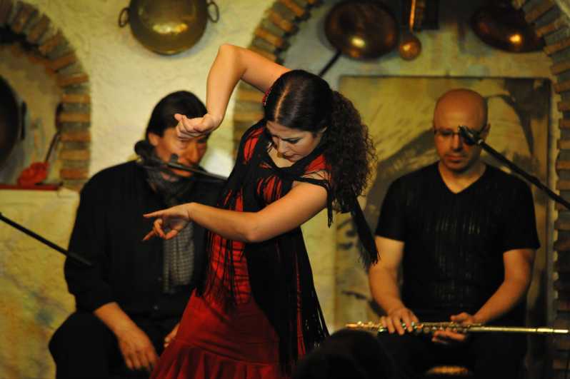 Granada: Alhambra Guided Tour and Flamenco Show - Sacromonte flamenco in a cave: what you’re really buying