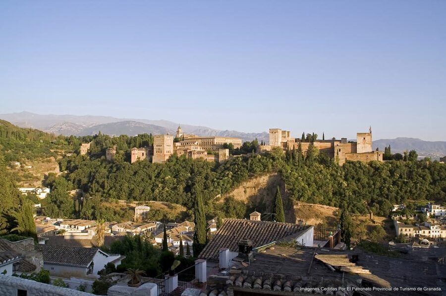 Granada: Alhambra Guided Tour and Flamenco Show - Nasrid Palaces and Generalife Gardens: where the story lands