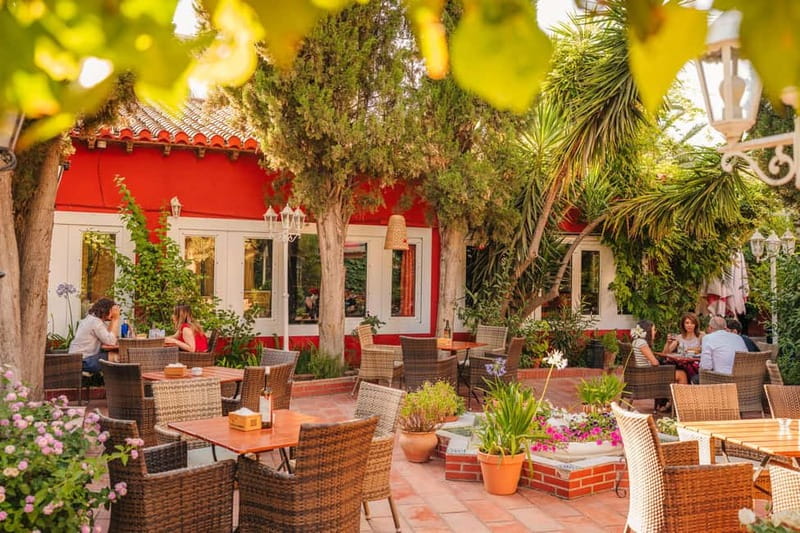 Granada: Dinner with Paella on a Terrace in the Albayzín and Live Flamenco - Paella Reality Check: Value, Salt, and Doneness