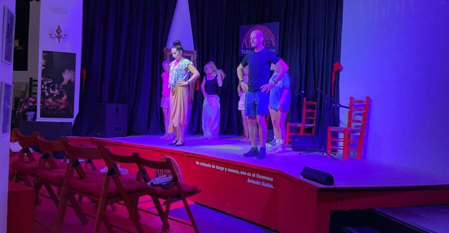 Granada: Flamenco Class with the Cast of Tablao La Alboreá - Where you meet (and why it helps your day)