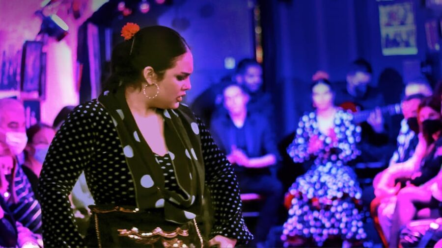 Granada: Flamenco Show at Cueva de la Rocío - Key points to know before you go