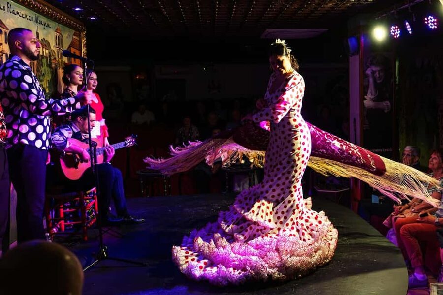 Granada: Flamenco Show at Tablao Flamenco Albayzín - Who This Flamenco Night Is Best For