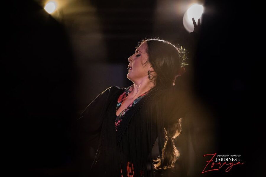 Granada: Flamenco Show in Albayzín - Jardines de Zoraya - Seating, sightlines, and why being close helps the dance land