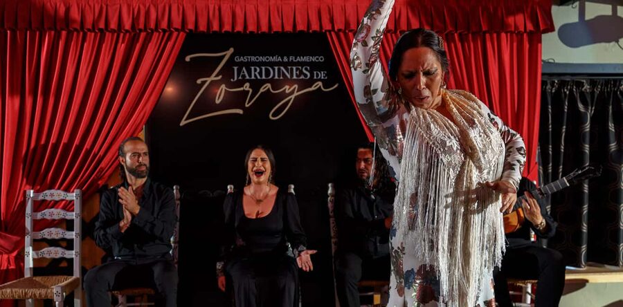 Granada: Flamenco Show in Albayzín - Jardines de Zoraya - Palos you’ll hear: soleá to alegría in one sitting