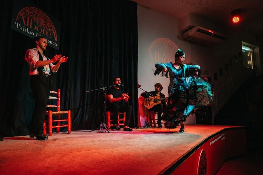 Granada: Flamenco Show in La Alboreá - Wine and Iberian Meats Option: A Simple Add-On