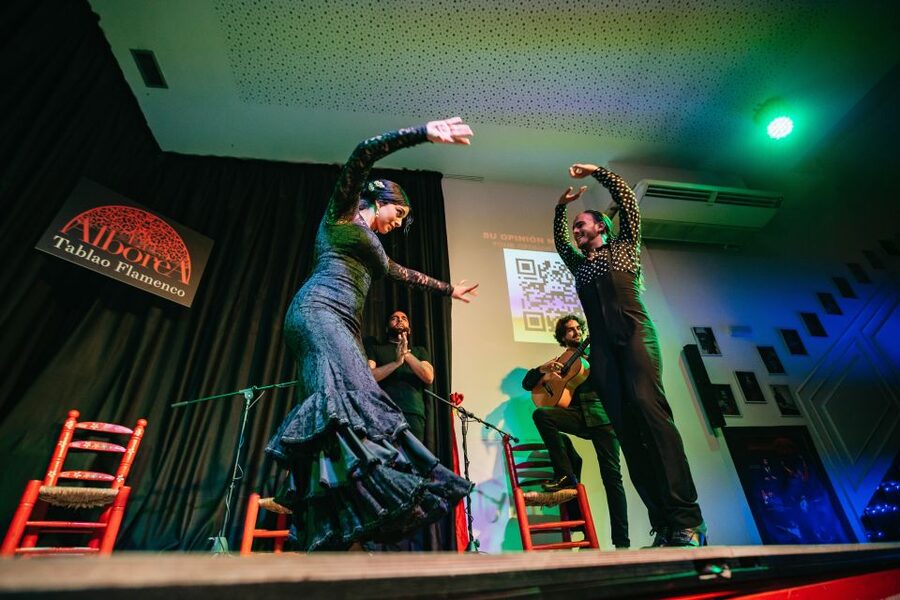 Granada: Flamenco Show in La Alboreá - Who Should Book (and Who Might Prefer Another Option)