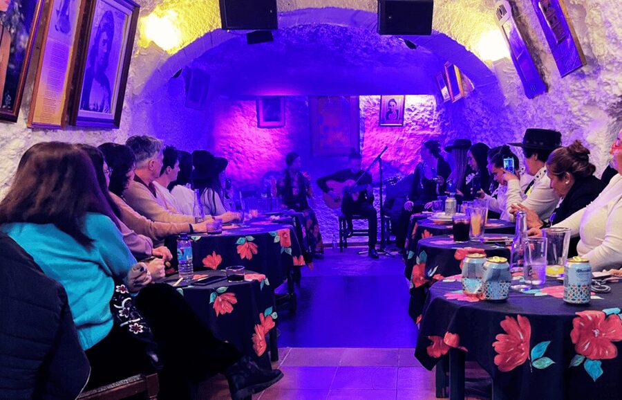 Granada: Flamenco Show in the Cave LA FARAONA - The 25-Seat Advantage: Why Small Capacity Matters