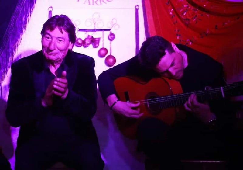 Granada: Flamenco Show Los Parrones in the Sacromonte Caves - Key highlights worth marking on your mental map