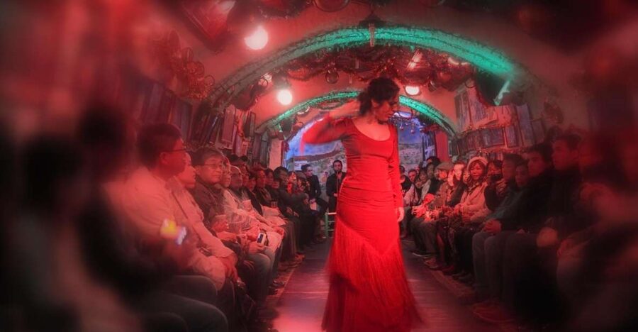 Granada: Sacromonte Caves Flamenco Show - Key points before you go