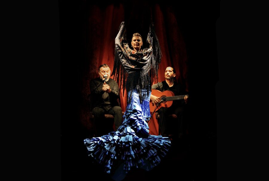 Intimate Authentic Flamenco Show in Barcelona at Casa Sors - Casa Sors: Flamenco in an intimate, soundproofed Barcelona studio