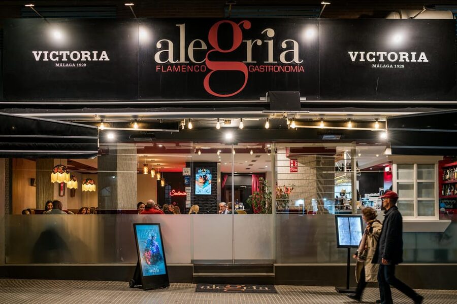 Malaga: Show and Food at Alegría Flamenco and Restaurant - Practical Tips for a Smoother Evening
