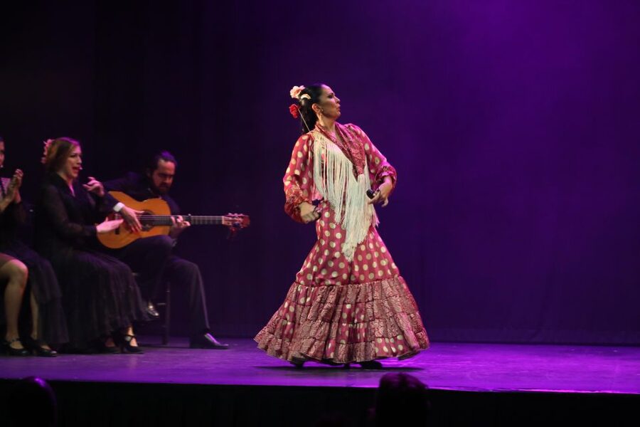 Malaga: Teatro Flamenco Malaga Live Flamenco Show - Teatro Club Málaga: why this room matters for flamenco
