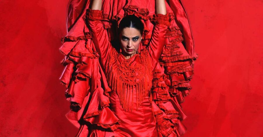 Malaga: Teatro Flamenco Malaga Live Flamenco Show - The show flow in a one-hour schedule